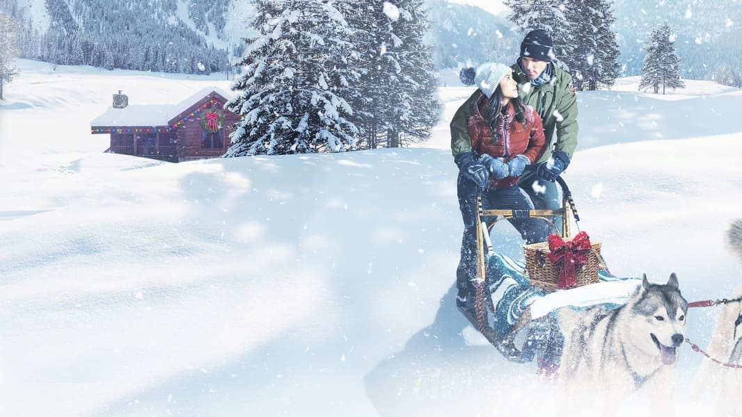 Christmas in the Wilds Ending Explained [SPOILER!]
