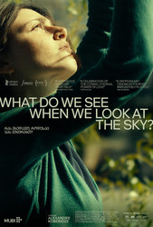 What Do We See When We Look at the Sky? Ending Explained [SPOILER!]