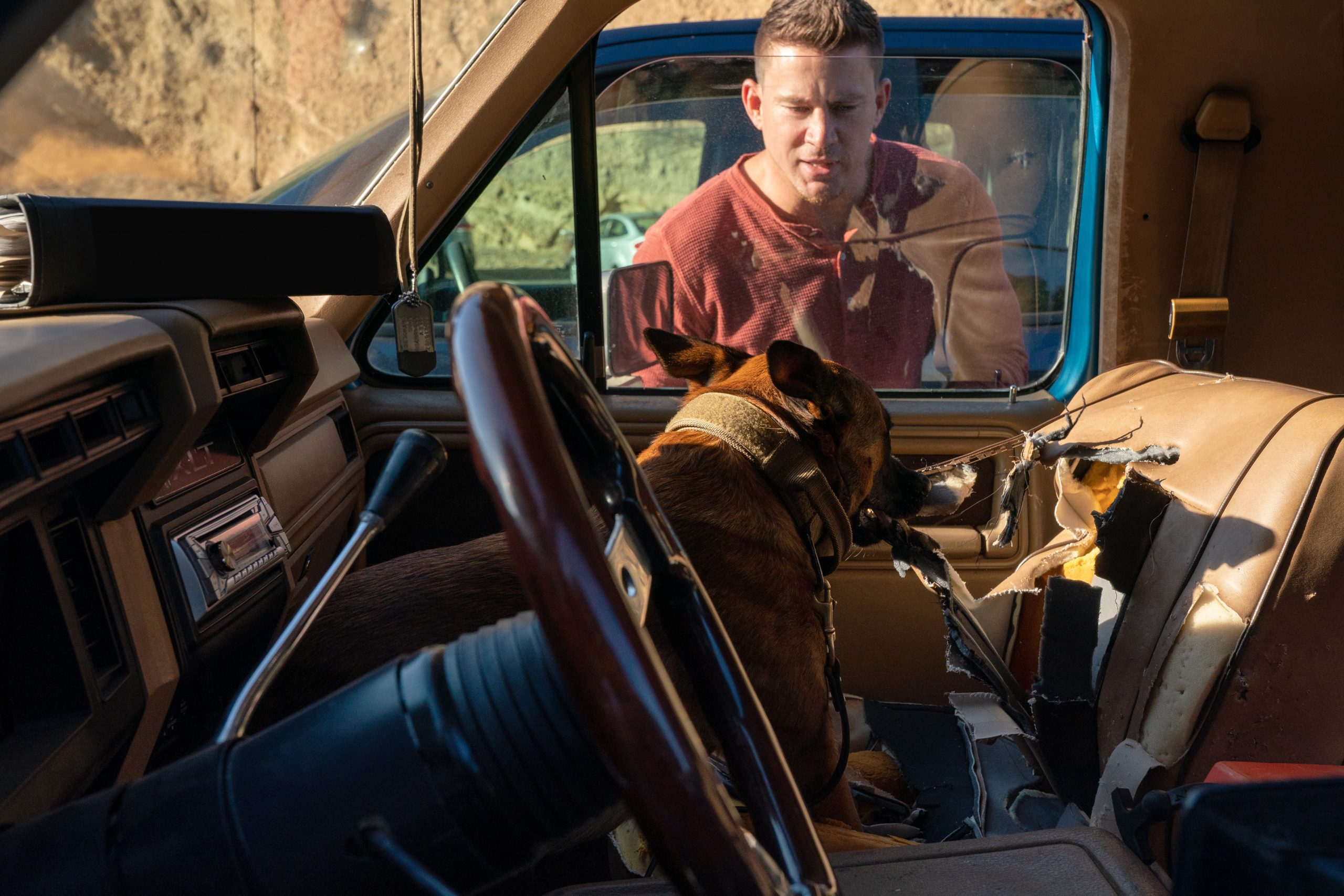 Dog Ending Explained [SPOILER!]