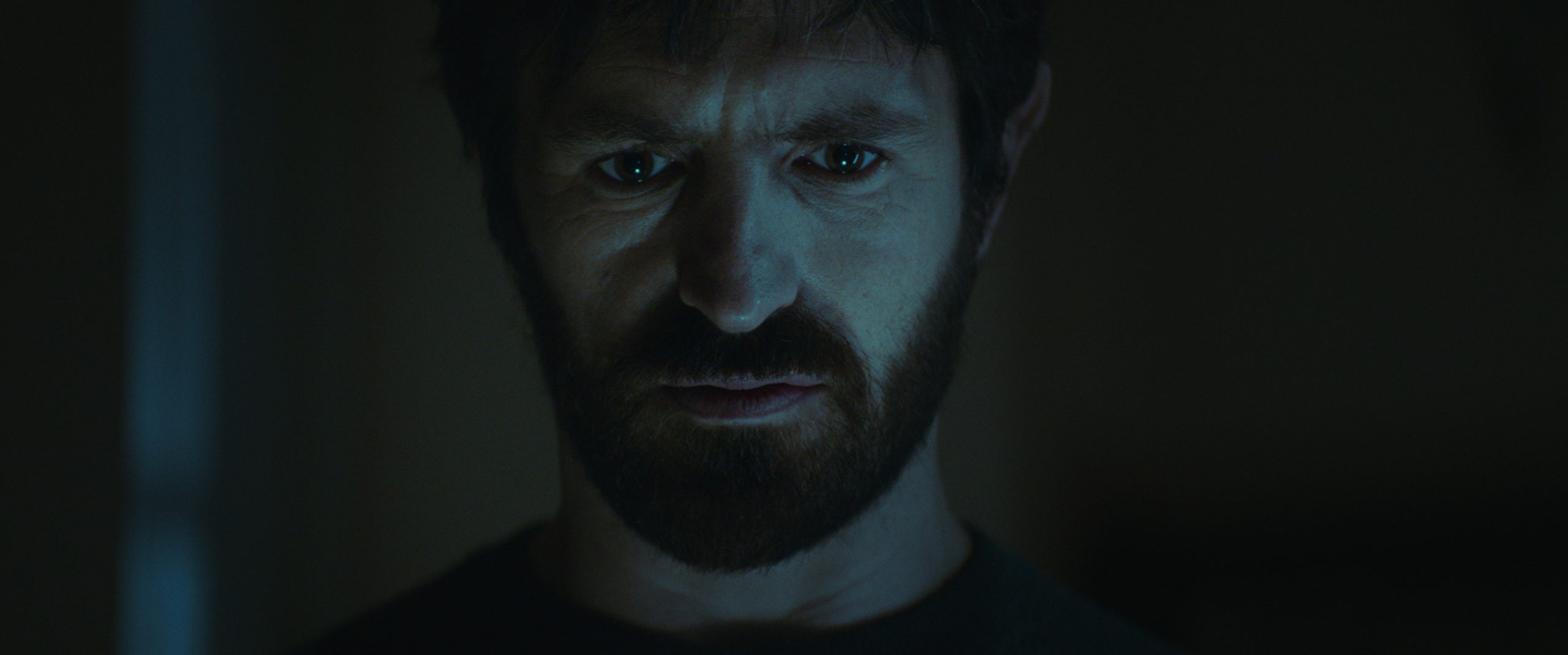 The Cellar Ending Explained [SPOILER!]